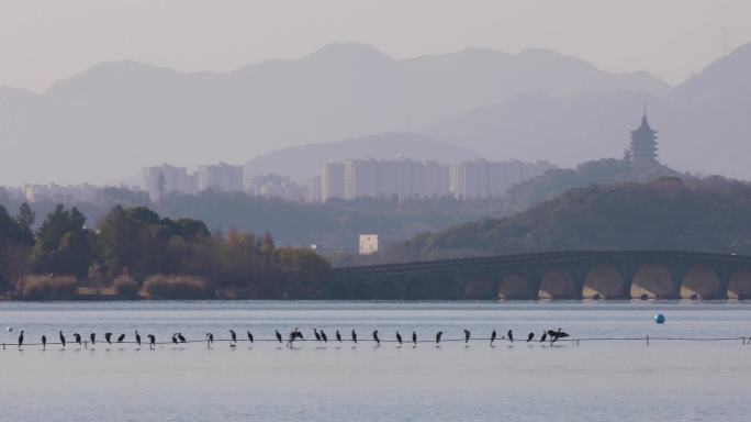 杭州湘湖政和桥金光穿洞风光