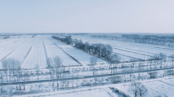 冬季稻田雪景