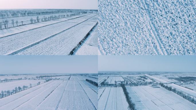 冬季稻田雪景