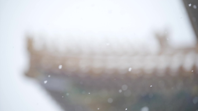 雪天故宫屋脊兽
