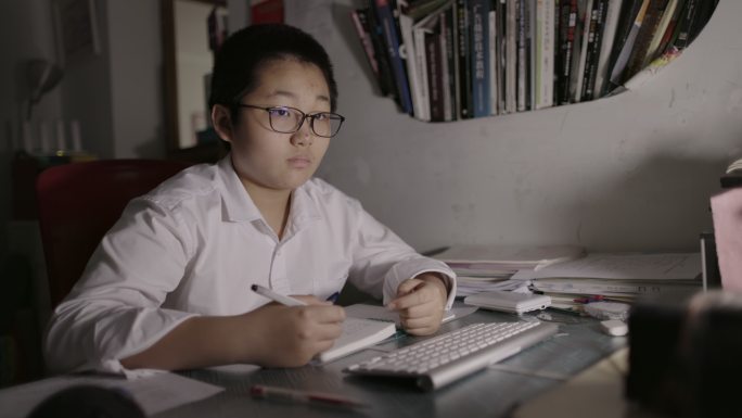 东亚青少年在家使用电脑在线学习