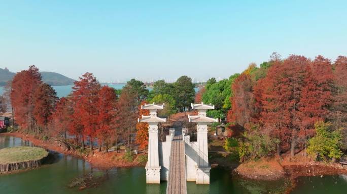 湖北武汉东湖落雁岛风景区秋季风光