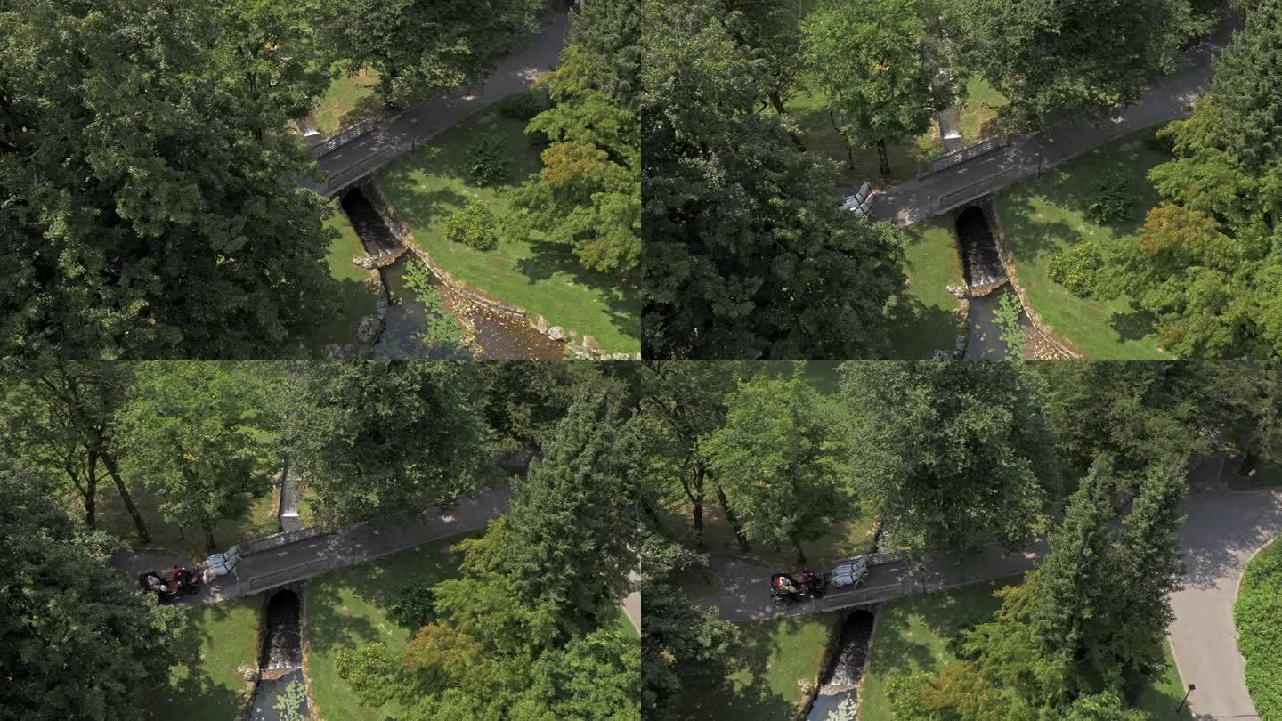 空中马车穿过公园的一座桥