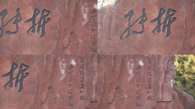 花博会公园里一处石墙上雕刻的诗词励志词