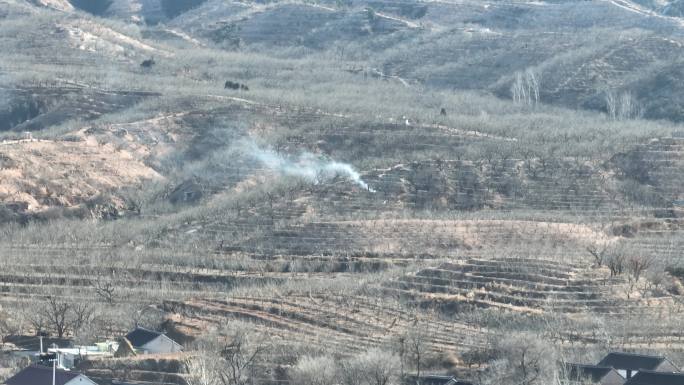 农民野外用火烧秸秆素材护林防火视频