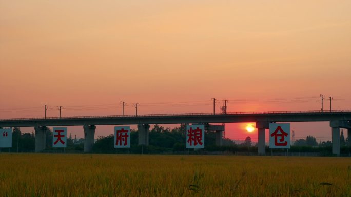 眉山市永丰村标准化农田日出延时