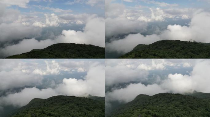 高山  大山 云端