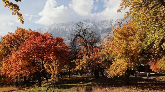 喜马拉雅山的秋天秋天红黄色森林唯美雪山