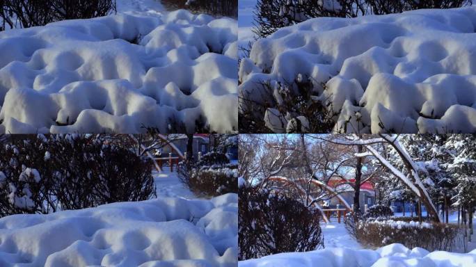 冬天公园老树小河雪景