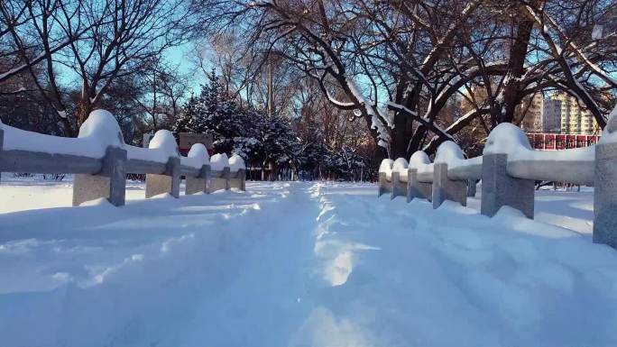 冬天公园老树小河雪景