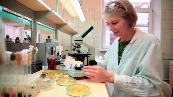 这位50岁迷人的严肃女性，科学家，在大学微生物学实验室从事显微镜和细菌培养工作