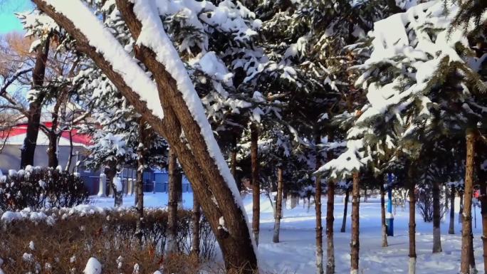 冬天公园老树小河雪景