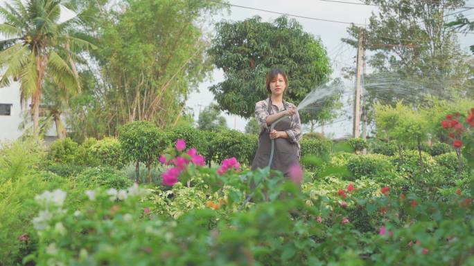 亚洲妇女照顾植物花园家庭妇女淋水水花喷水