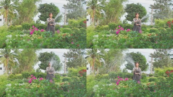 亚洲妇女照顾植物花园家庭妇女淋水水花喷水