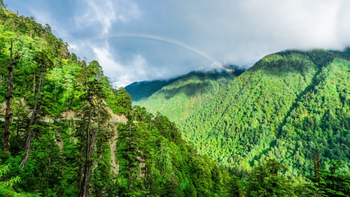 丙察察 山谷森林