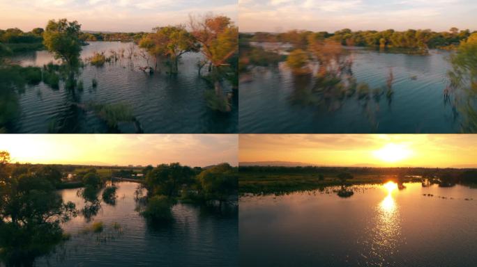 落日的湿地·4