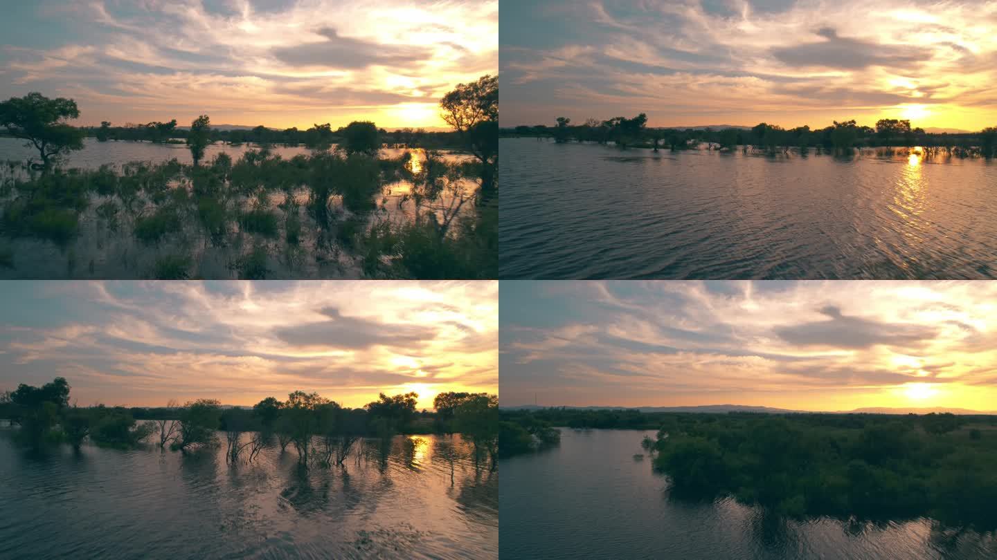 落日的湿地·3