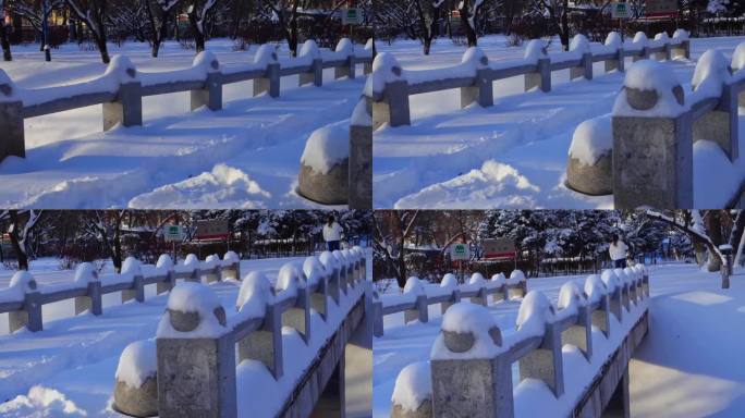 冬天公园老树小河雪景