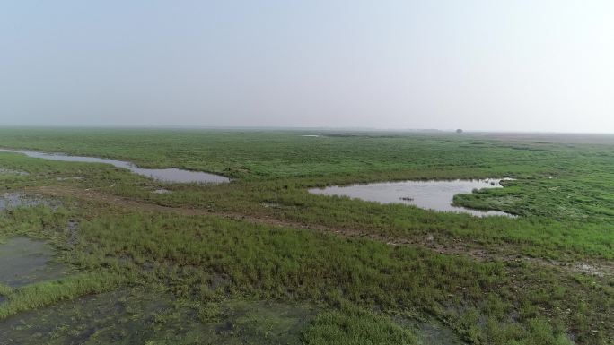 洞庭湖湿地