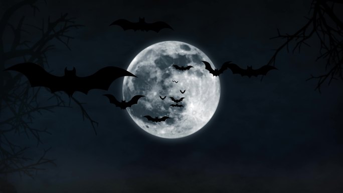 飞行蝙蝠动画。万圣节蝙蝠月夜背景。