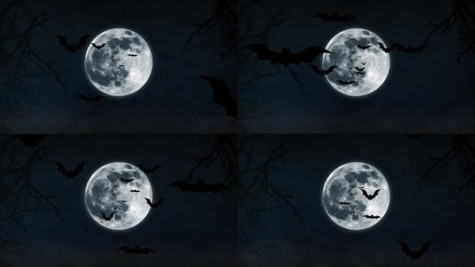 飞行蝙蝠动画。万圣节蝙蝠月夜背景。