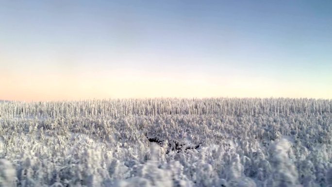 瑞典拉普兰基律纳冬季景观