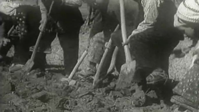 50年代宁夏自治区农民劳动影像