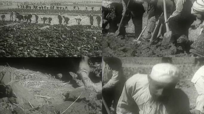 50年代宁夏自治区农民劳动影像