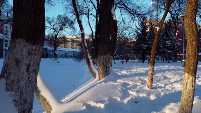 冬天公园老树小河雪景