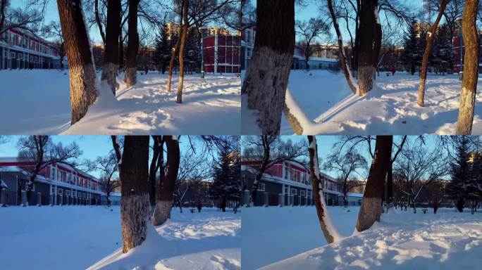 冬天公园老树小河雪景