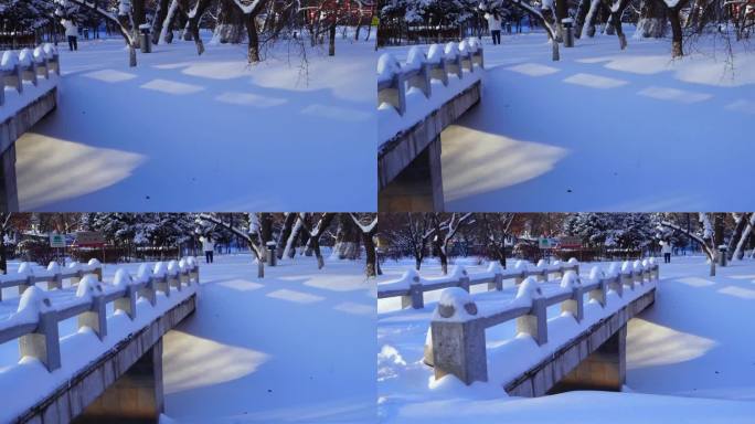 冬天公园老树小河雪景