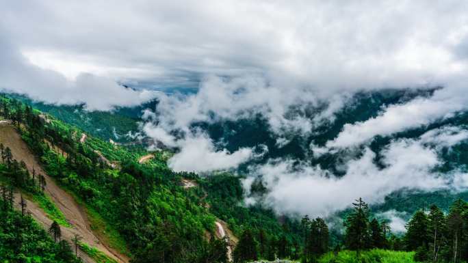 丙察察 山谷森林