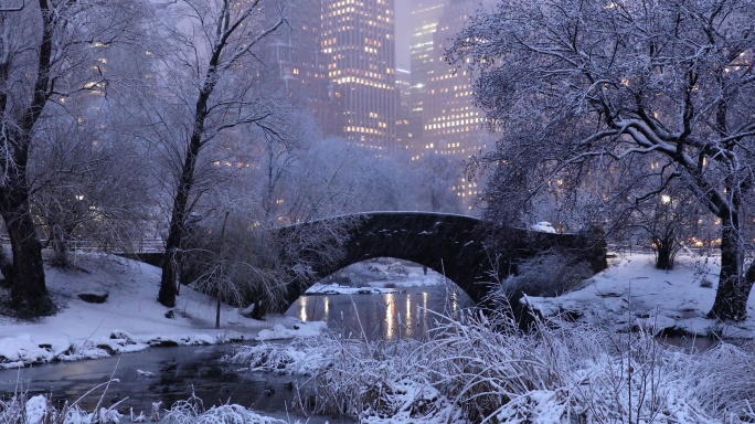 中央公园冬季池塘、公共公园、城市、