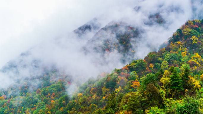 留坝紫柏山