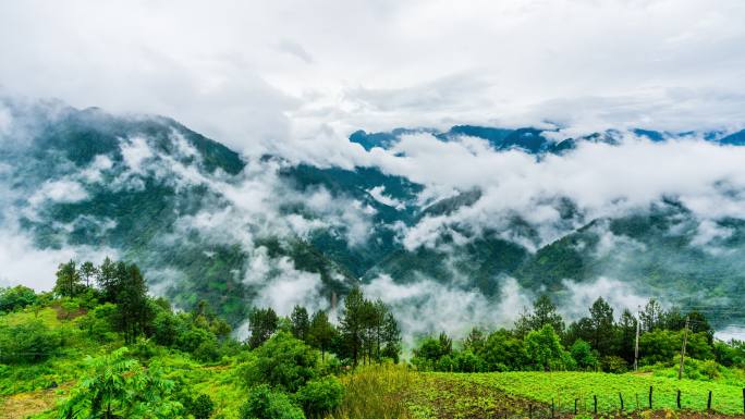 丙察察 山谷森林