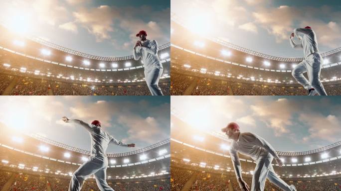 球场上的板球击球手