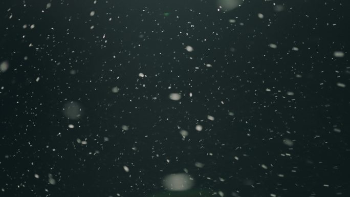 夜间降雪雪花飘飘风雪雪粒子