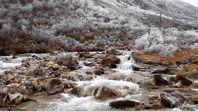 川藏线雪线上的溪流