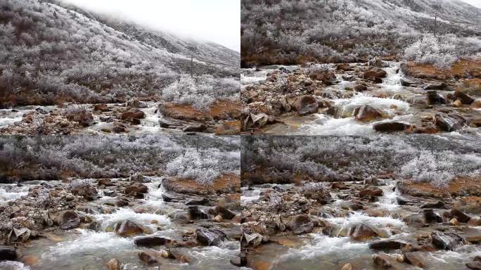 川藏线雪线上的溪流