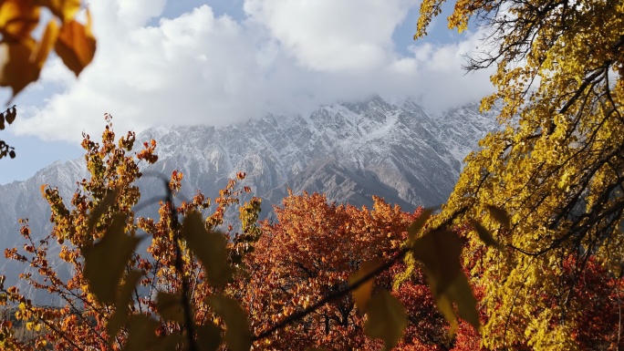 喜马拉雅山的秋天唯美自然美丽风景大气意境