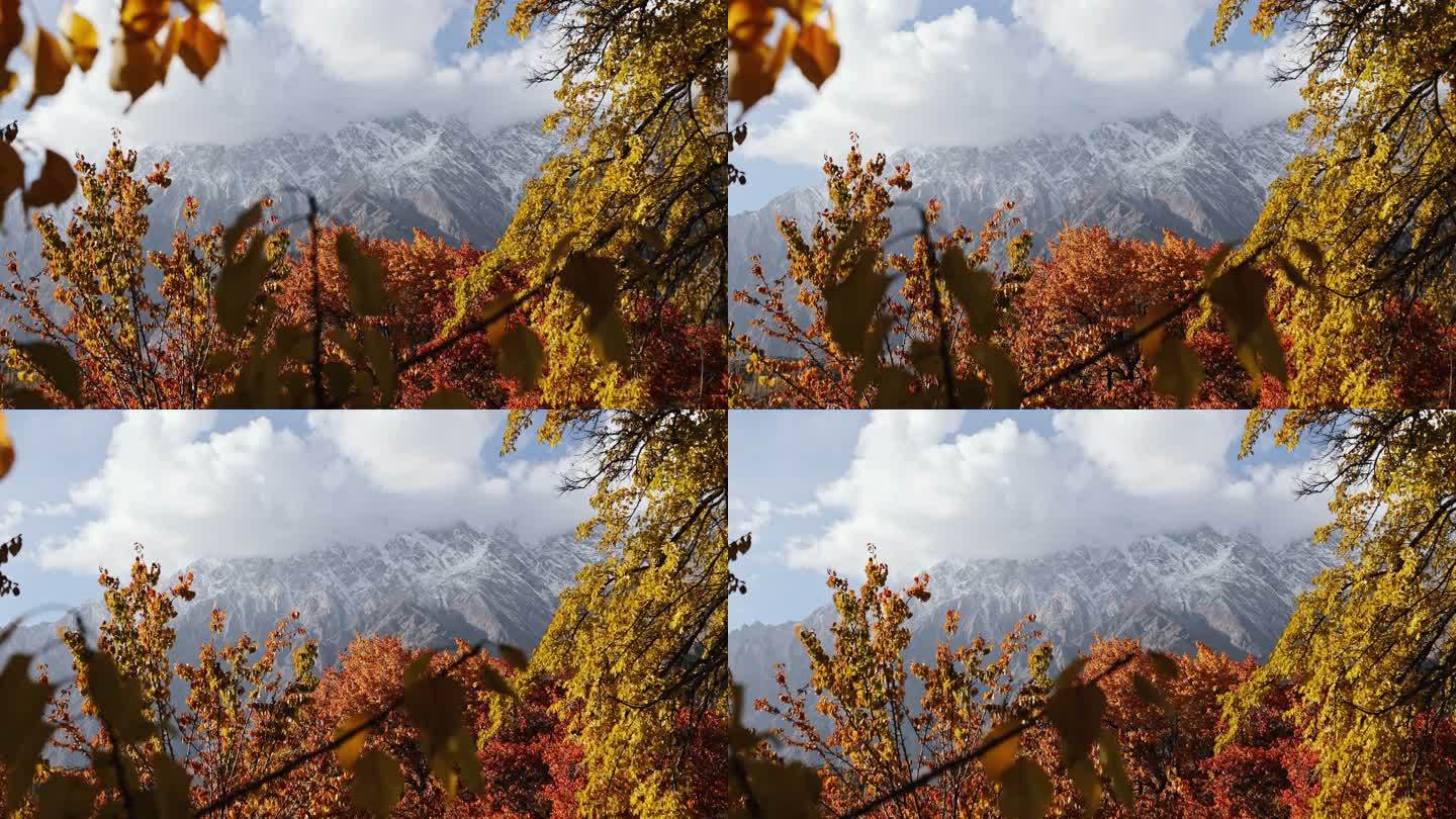 喜马拉雅山的秋天唯美自然美丽风景大气意境
