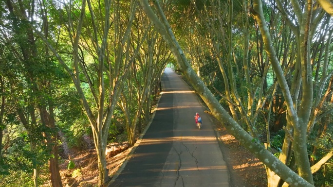 唯美的道路