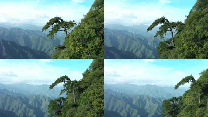 航拍陕西西安秦岭山脉夏日晴天