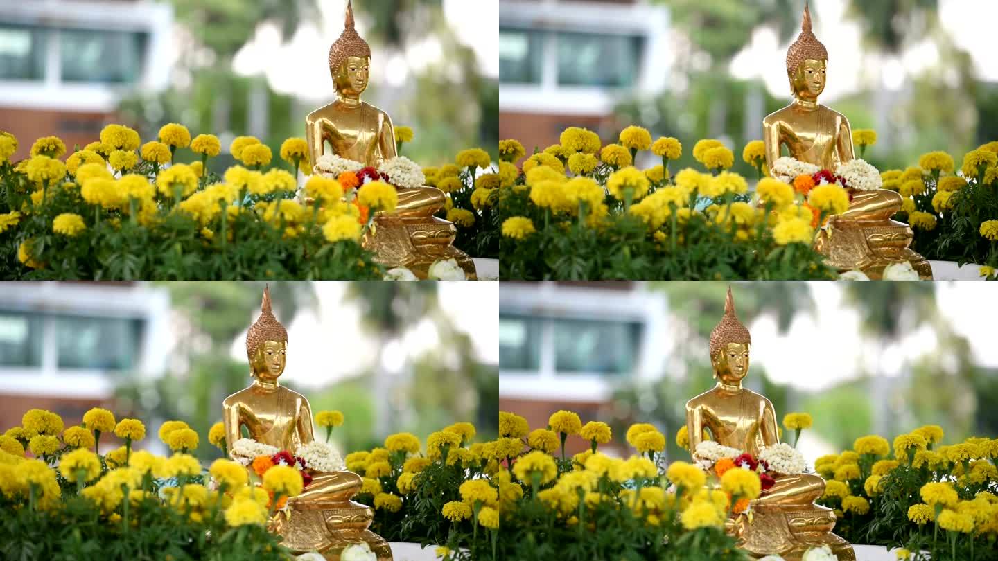 庆祝泰国新年泰国新年花海见佛像宗教信仰