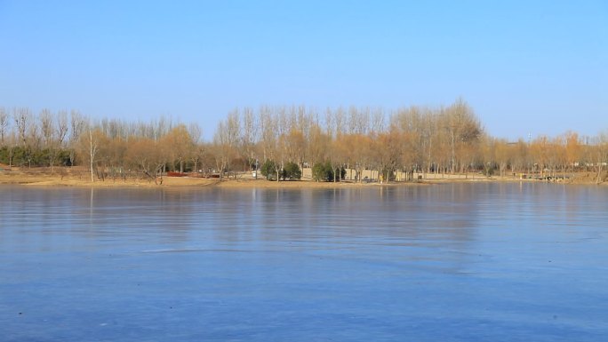 北京冬季东郊湿地公园湖面沿岸景色环摄