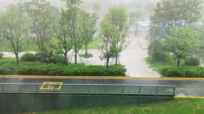 俯瞰多雨的城市森林道路景观