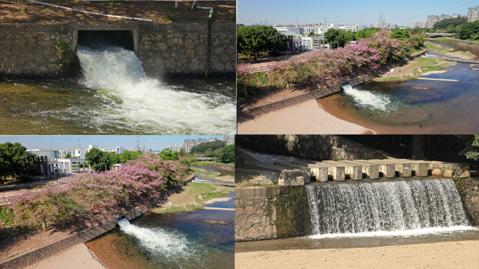 污水处理厂河道出水口