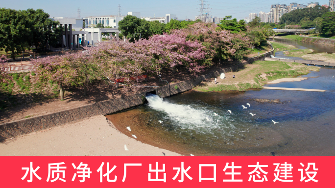 污水处理厂河道出水口