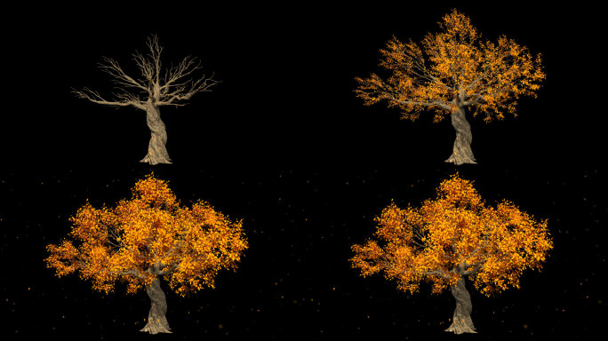 秋季树木黄树叶飘落-带透明通道