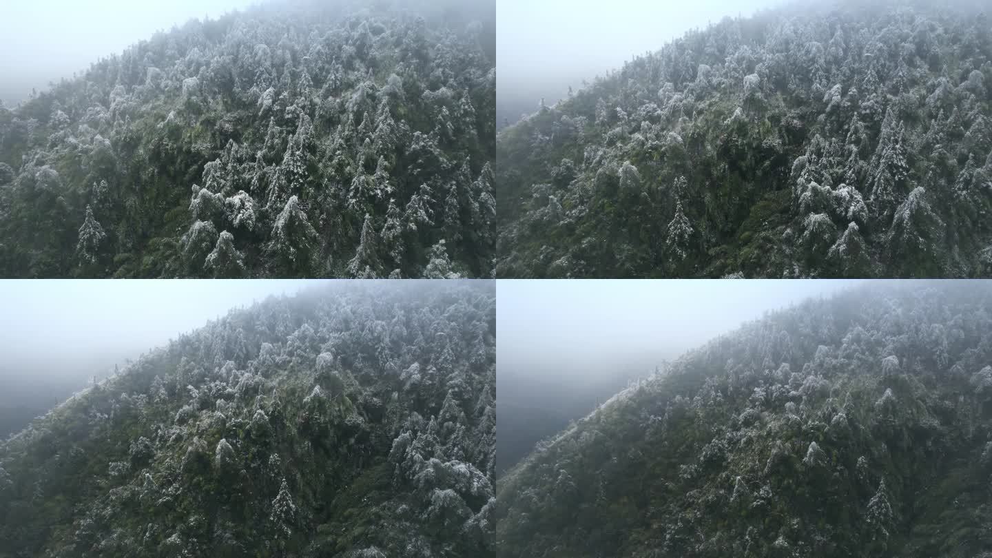 广西贺州姑婆山雾凇雪景航拍